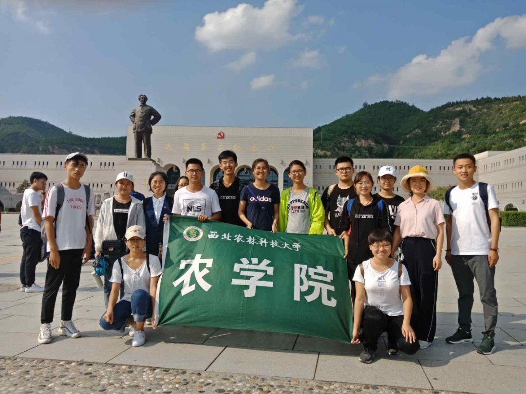 有哪些平价又好用的护发产品？游戏画面